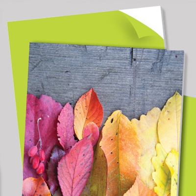 palight print web b 400 x 400 (1) palight print web b 400 x 400 (1)