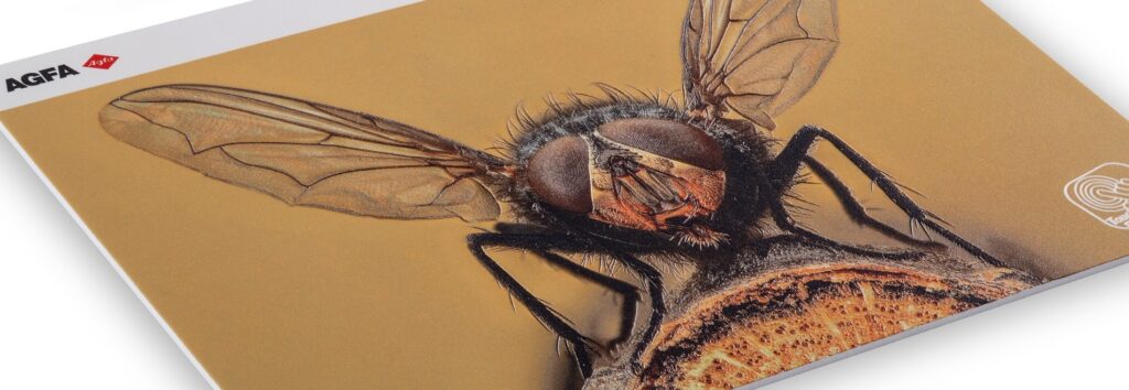 hero1 palight premium 1 1024x354 hero1 palight premium 1 1024x354